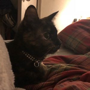 Meet your Posher, Sonya